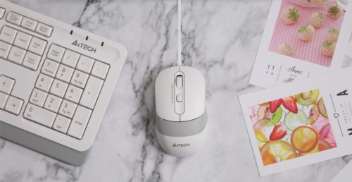 A4 Tech F1010 BEYAZ USB Klavye Mouse Set - Klavye ürünleri tekizmir.com'da